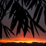 N06np0801_NileSprague