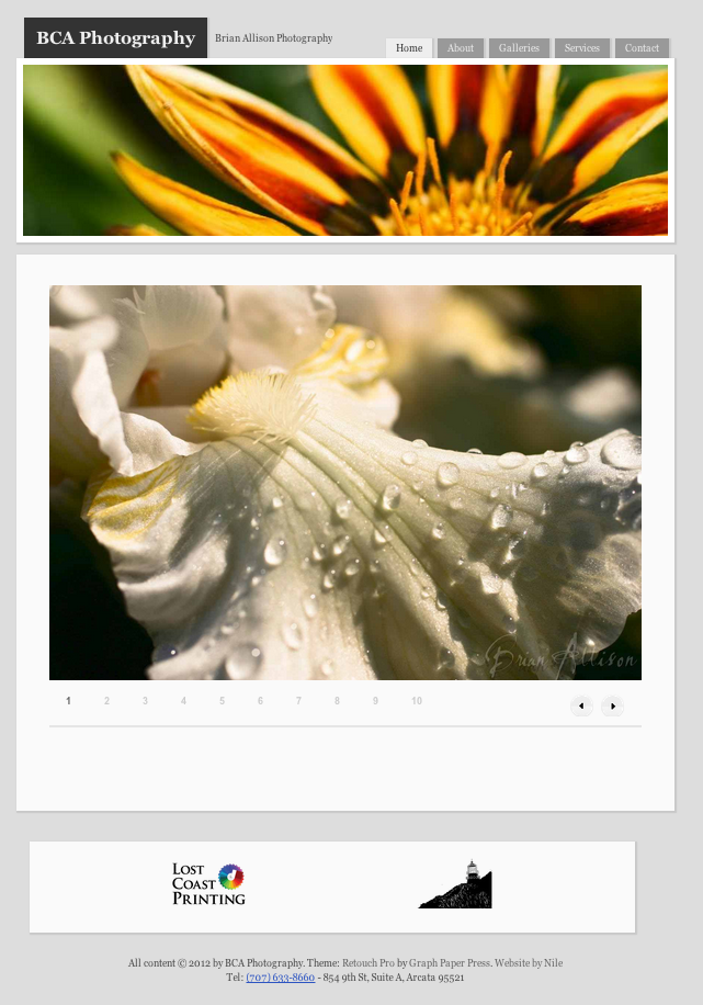 New Website: BCAPhotography.com New Website: BCAPhotography.com